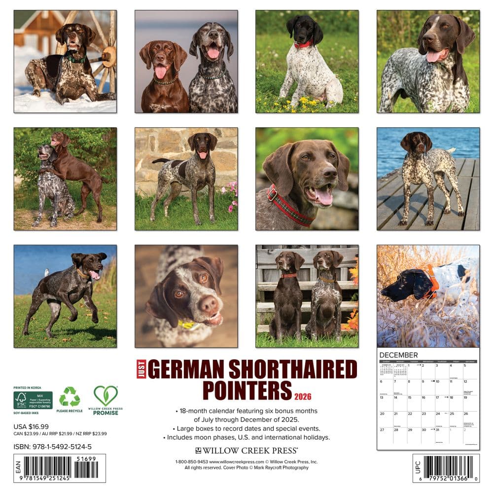 Just German Shorthaired Pointers 2026 Wall Calendar First Alternate Image