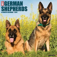 image Just German Shepherds 2026 Wall Calendar Main Product Image