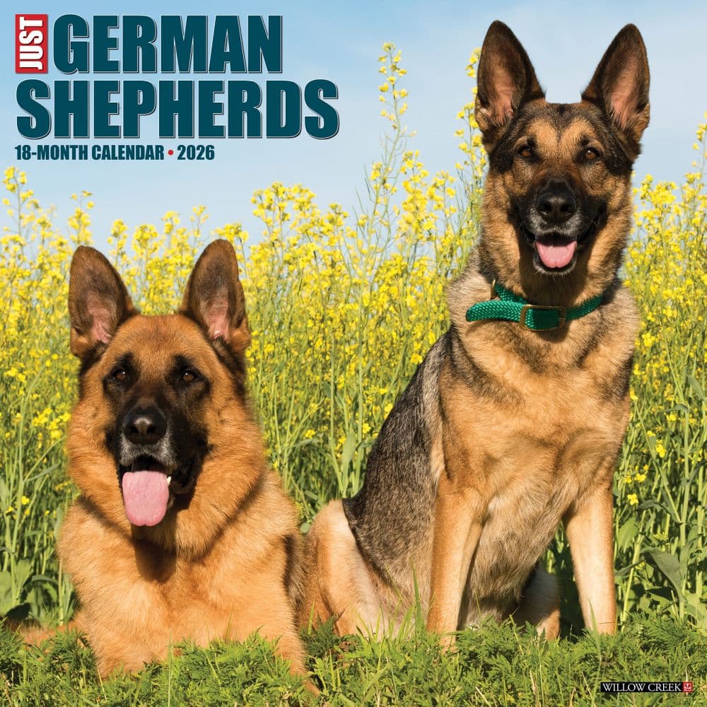 Just German Shepherds 2026 Wall Calendar Main Product Image