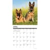 image Just German Shepherds 2026 Wall Calendar Second Alternate Image