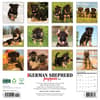image Just German Shepherd Puppies 2026 Wall Calendar First Alternate Image