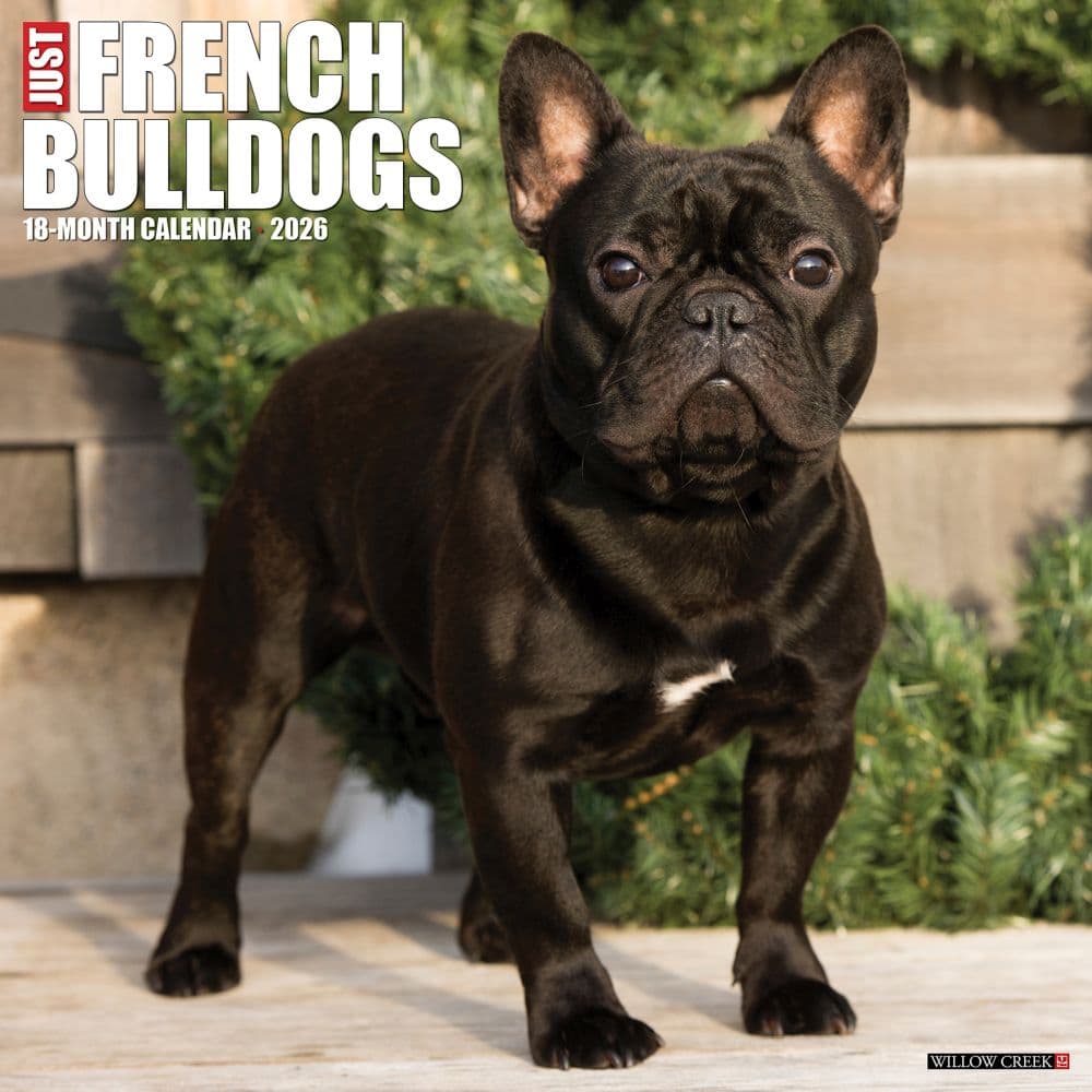Just French Bulldogs 2026 Wall Calendar Main Product Image