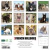 image Just French Bulldogs 2026 Wall Calendar First Alternate Image