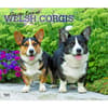 image  Main Product Image