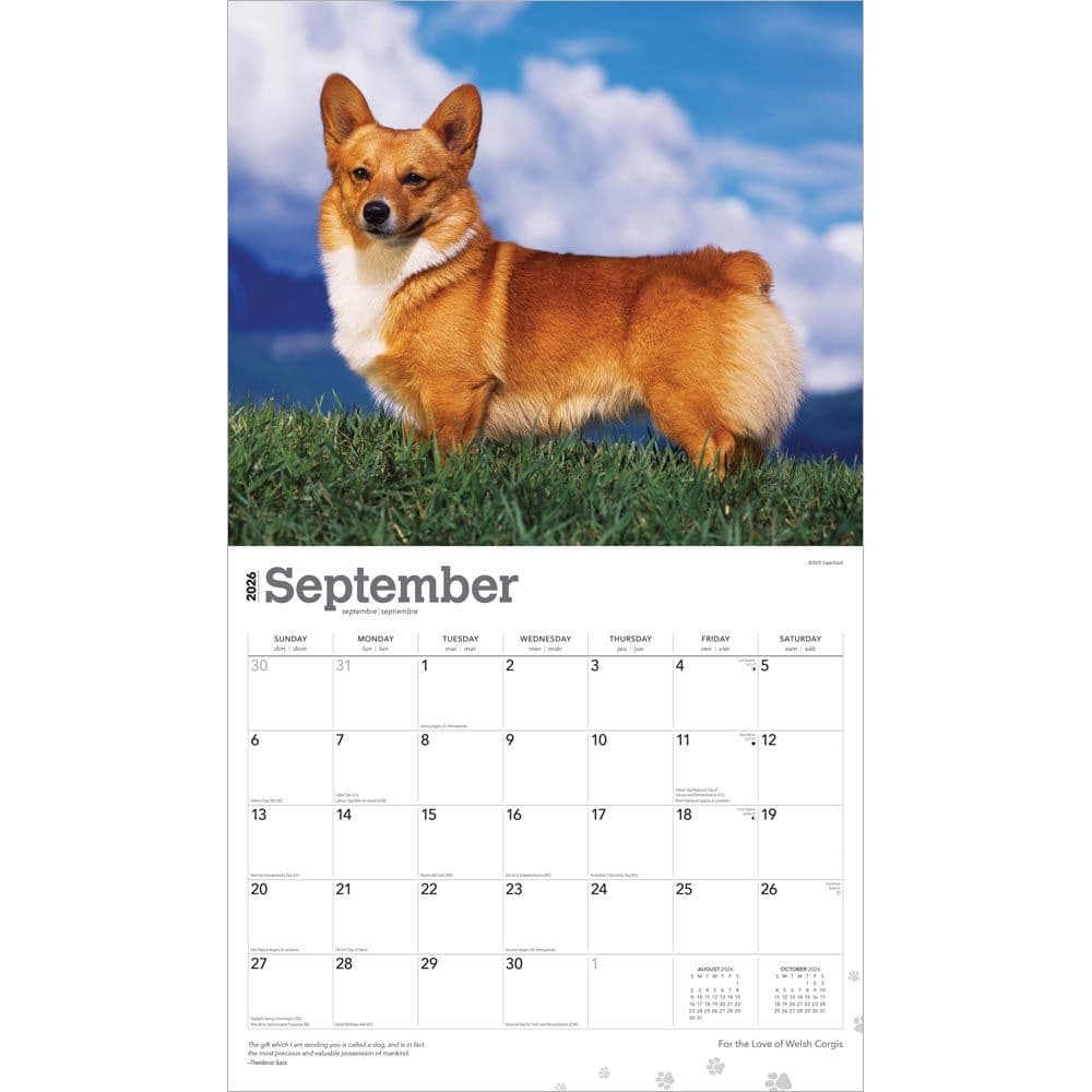  Third Alternate Image