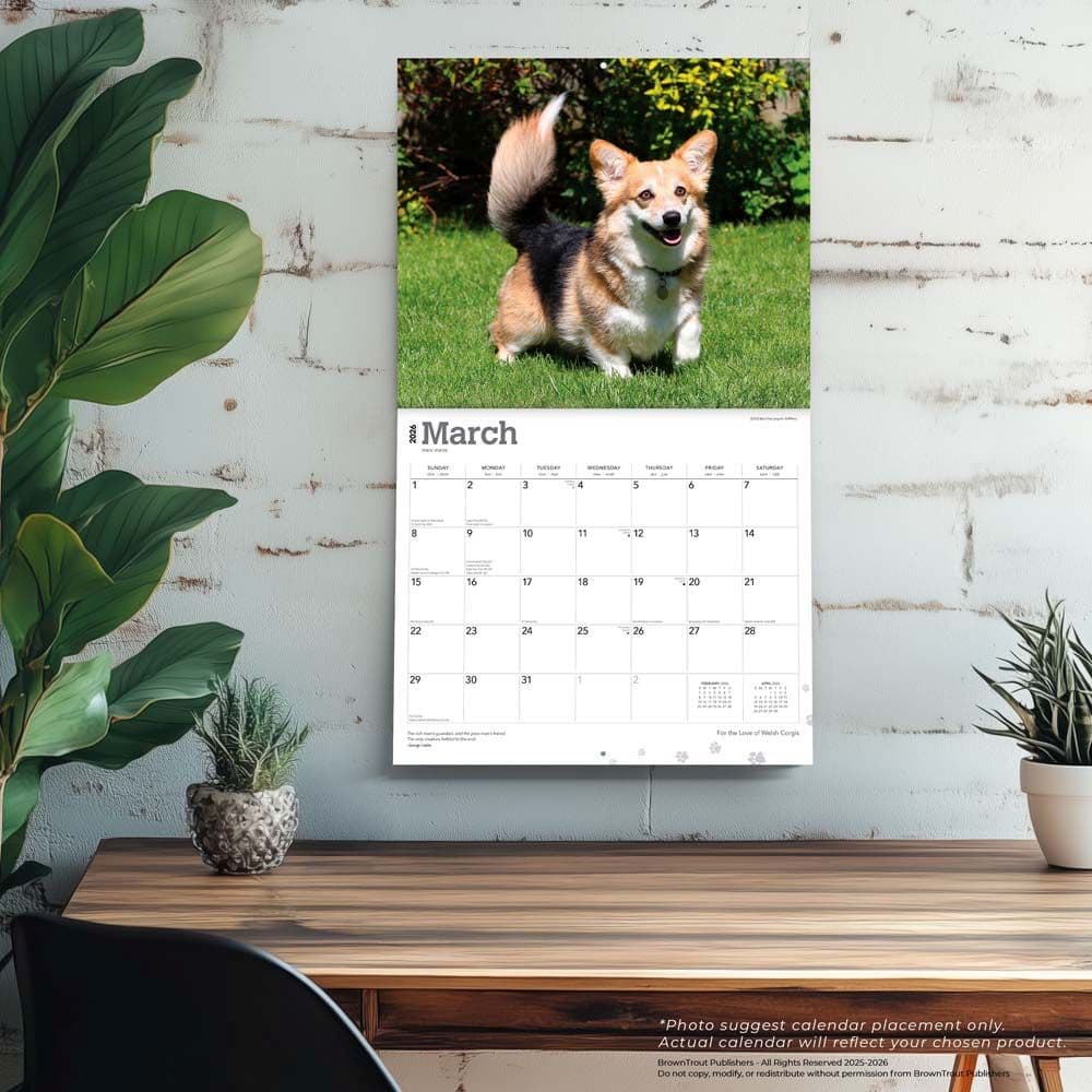  Fourth Alternate Image