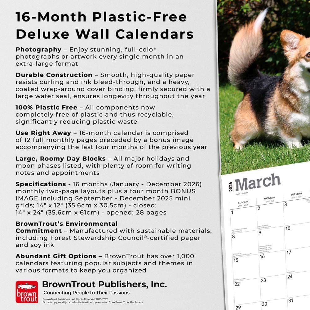  Fifth Alternate Image