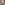 image  Main Product Image