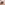 image  Main Product Image