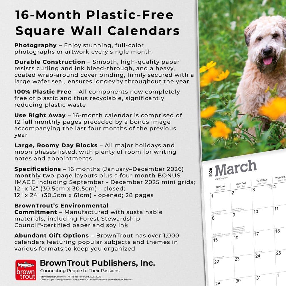  Fifth Alternate Image