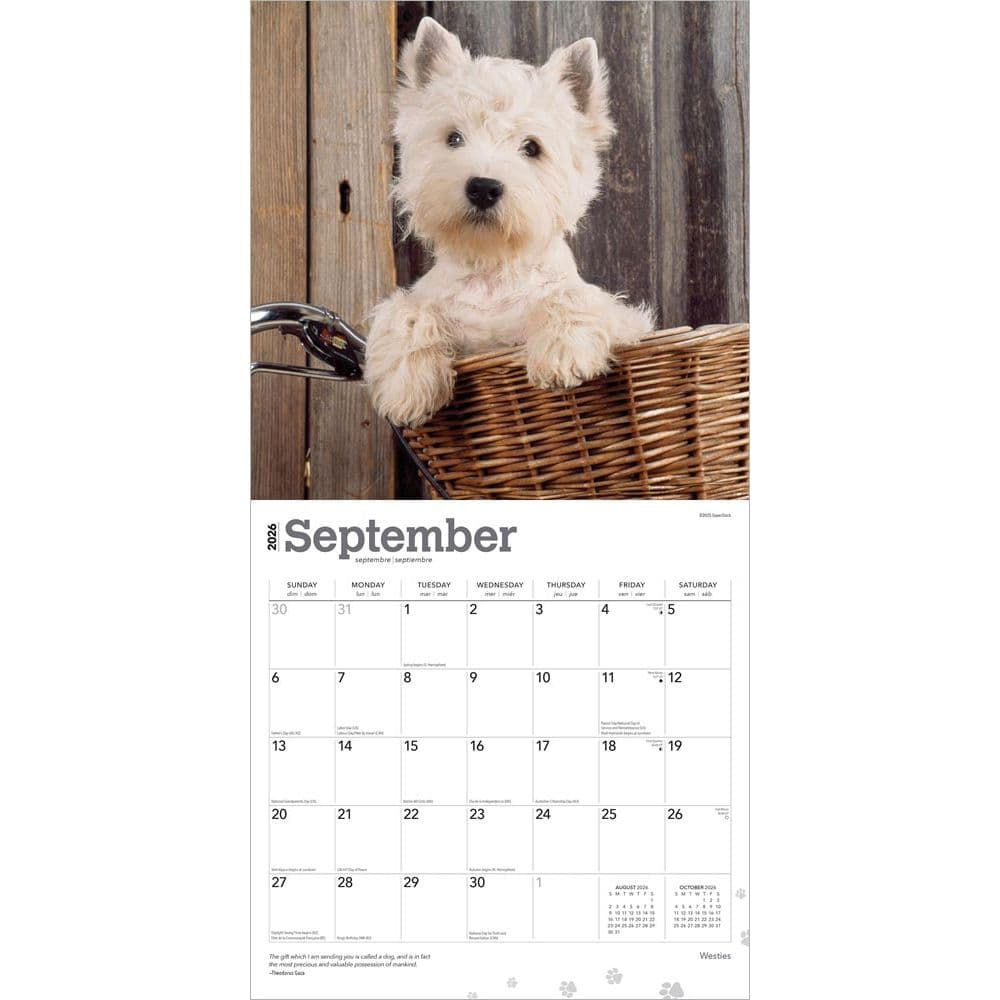 Calendar West Highland Terrier Prices Buy West Highland White