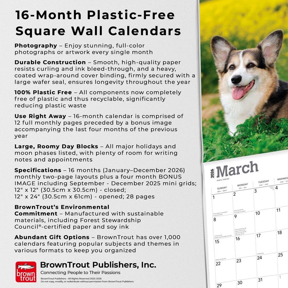  Fifth Alternate Image