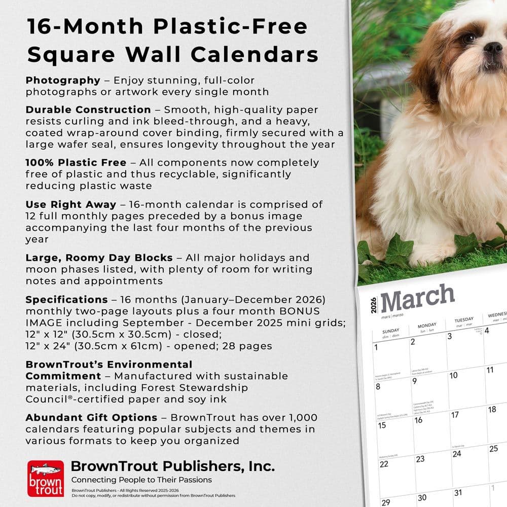  Fifth Alternate Image