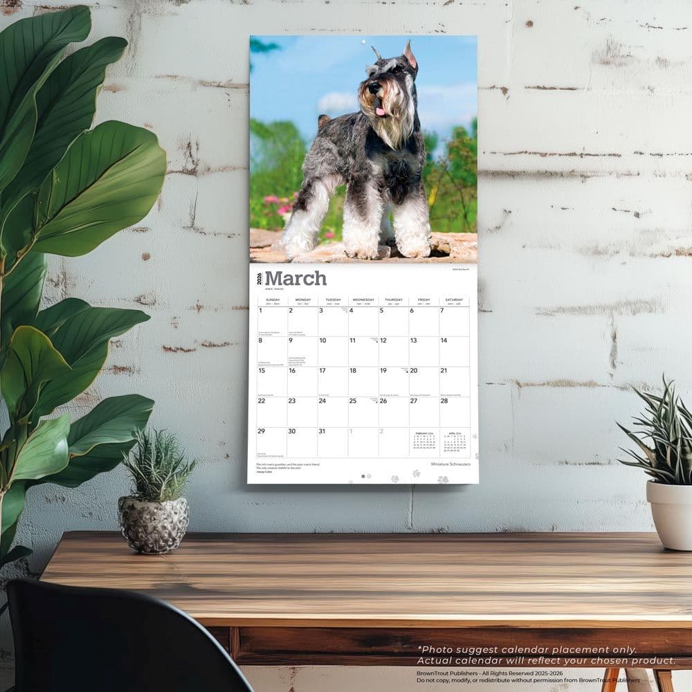 Schnauzer Calendar 2026 - Celebrate The Charming Schnauzer All Year Lo - 8