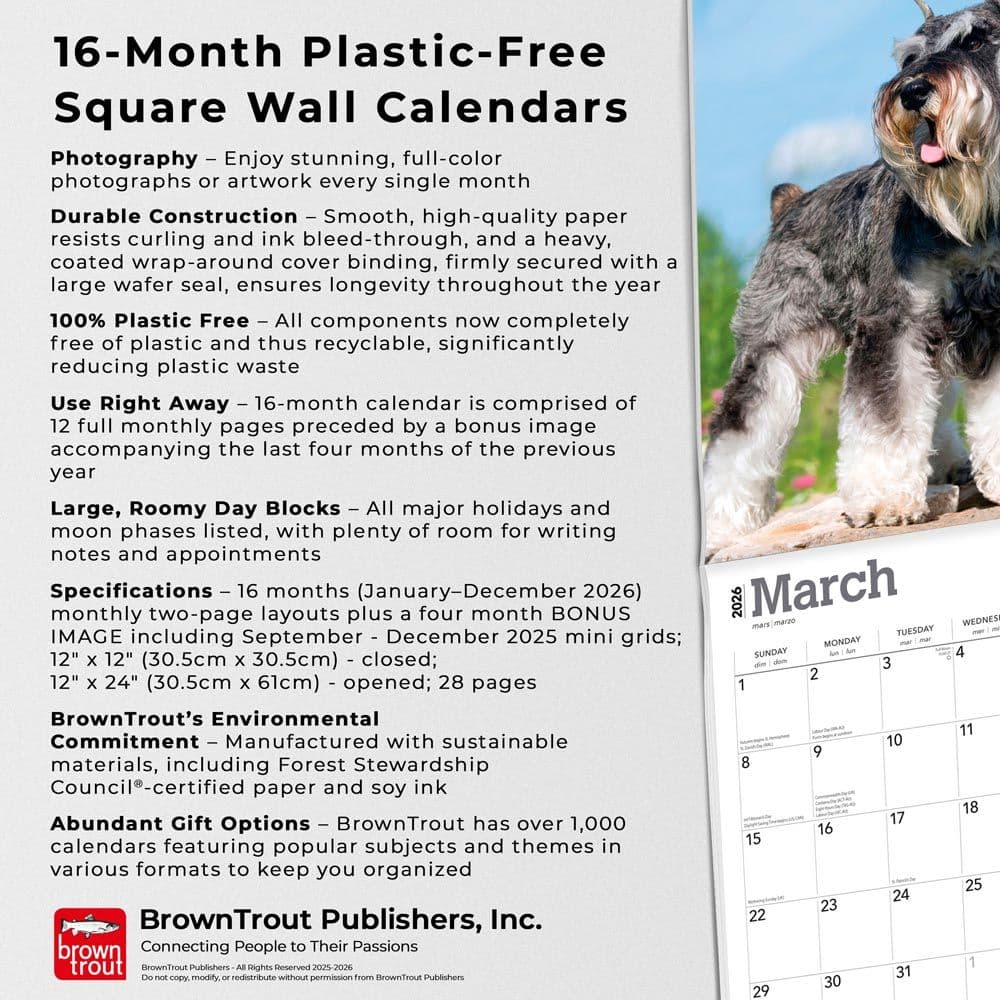  Fifth Alternate Image