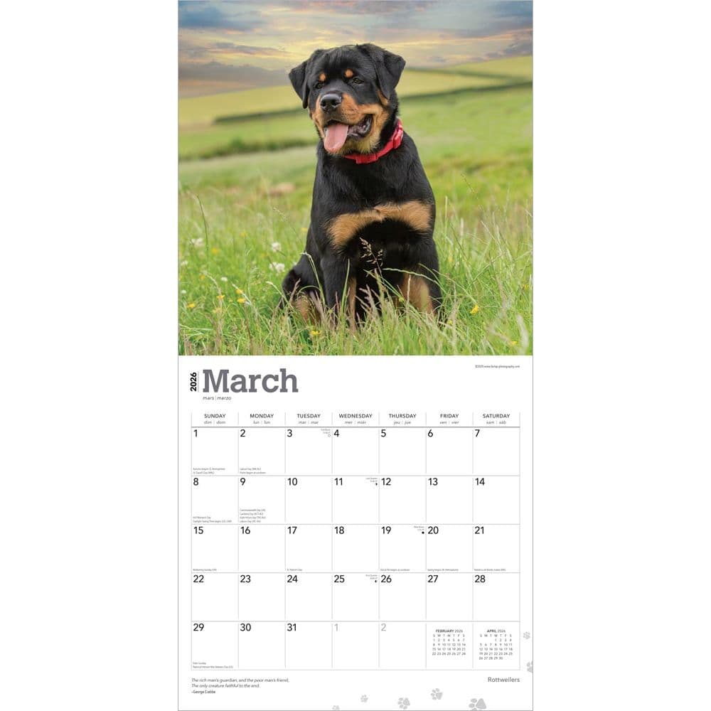  Second Alternate Image