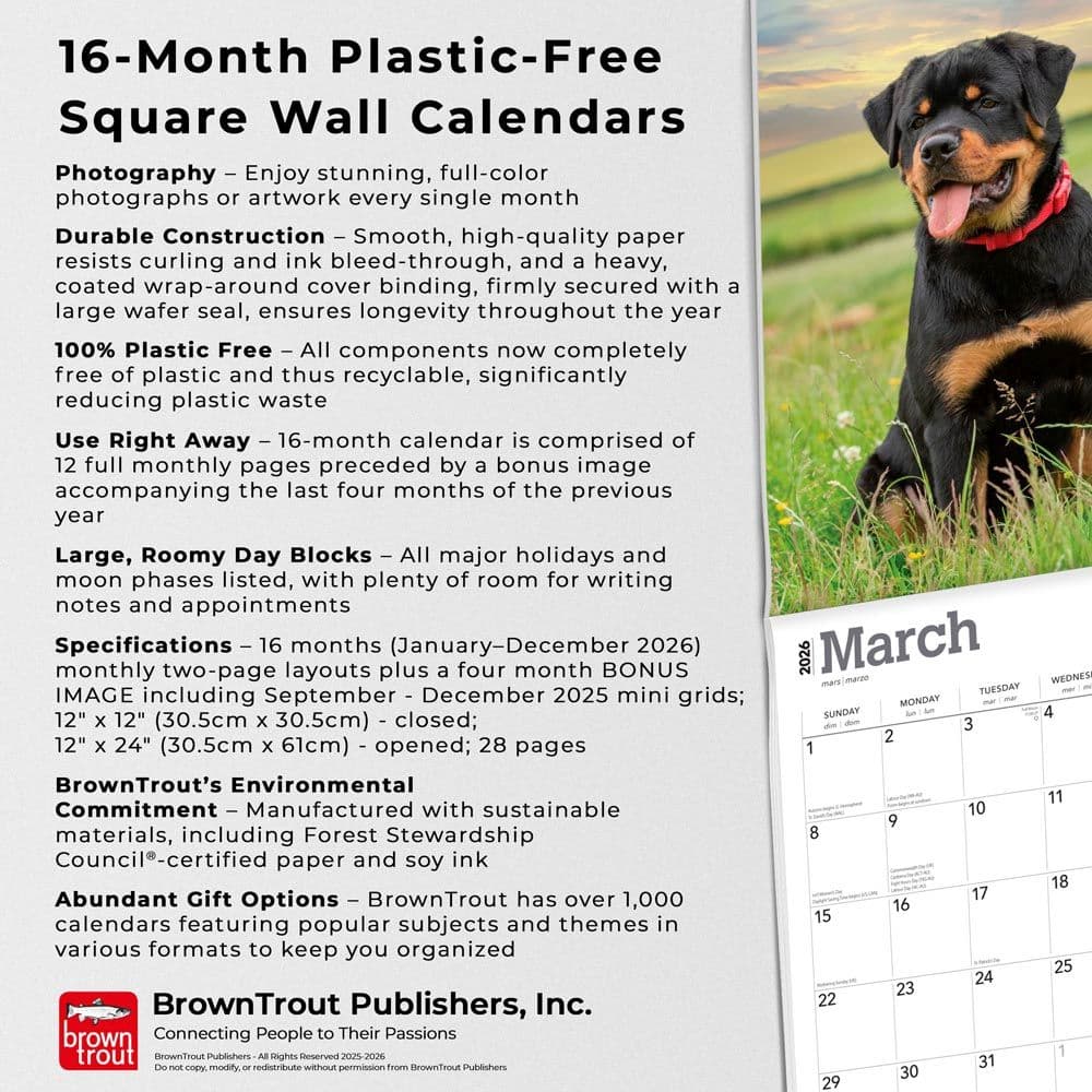  Fifth Alternate Image