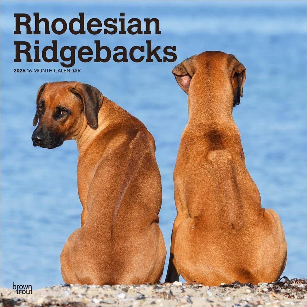 Rhodesian Ridgebacks 2026 Wall Calendar Main Product Image