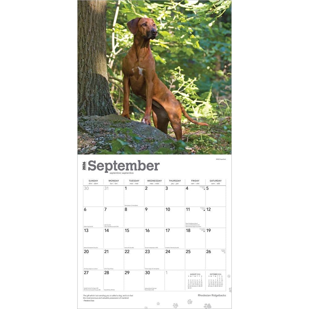 Rhodesian Ridgebacks 2026 Wall Calendar Third Alternate Image
