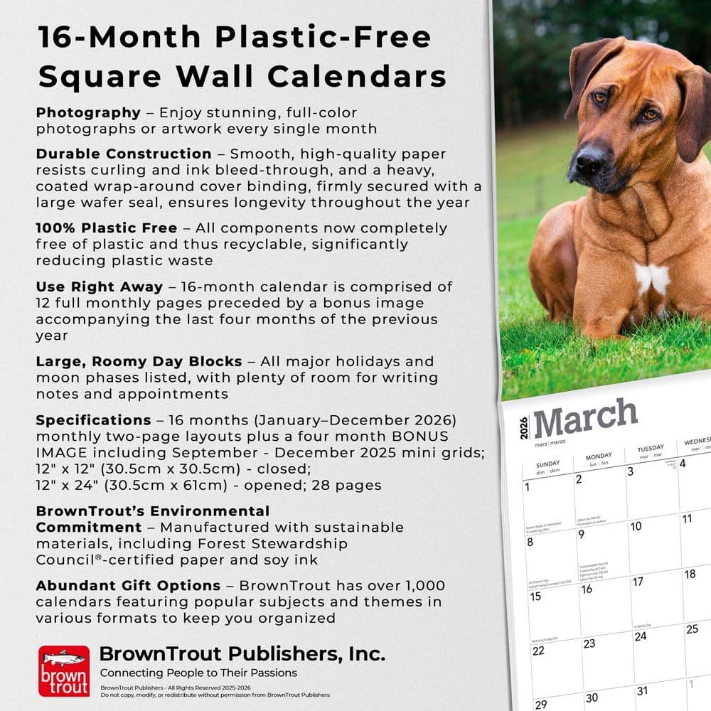 Rhodesian Ridgebacks 2026 Wall Calendar Fifth Alternate Image