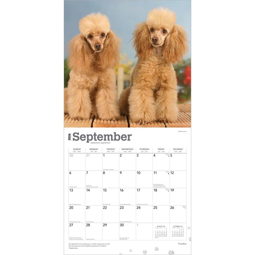  Third Alternate Image