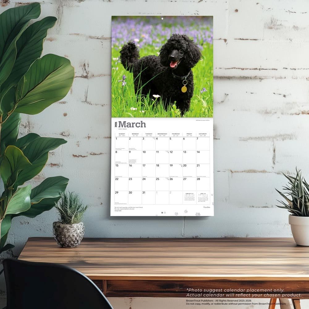  Fourth Alternate Image