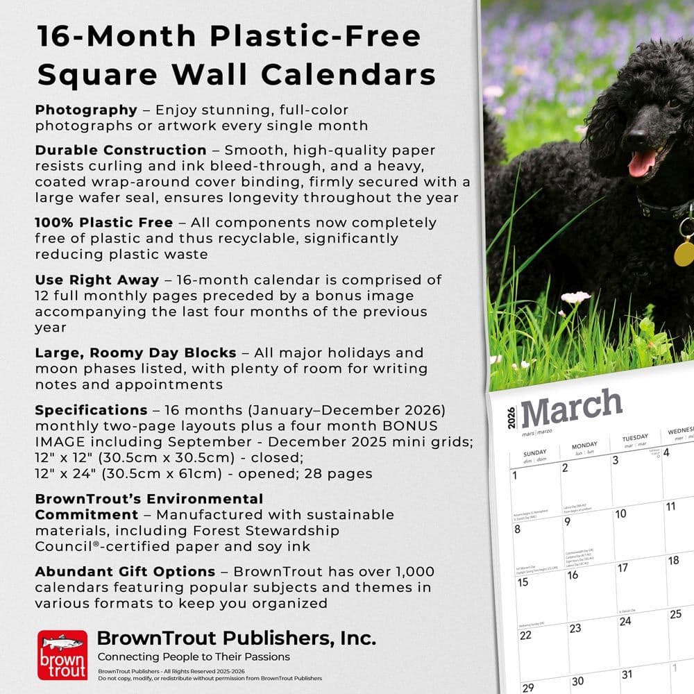  Fifth Alternate Image