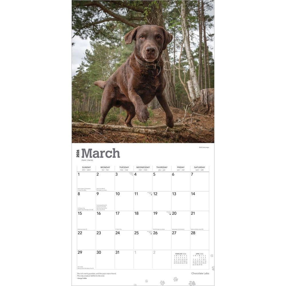  Second Alternate Image