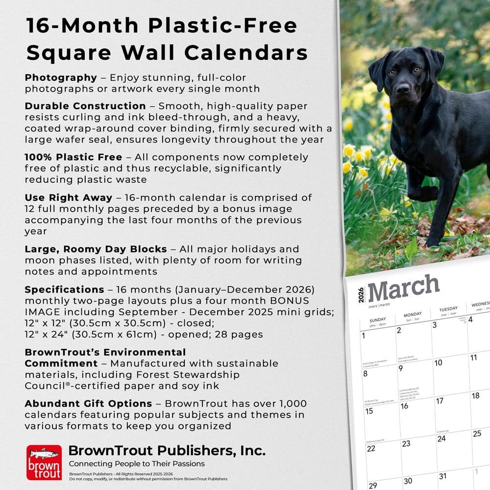  Fifth Alternate Image