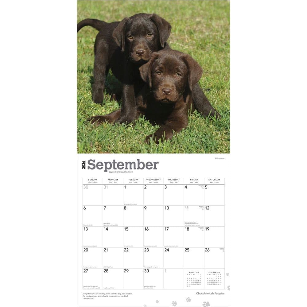  Third Alternate Image