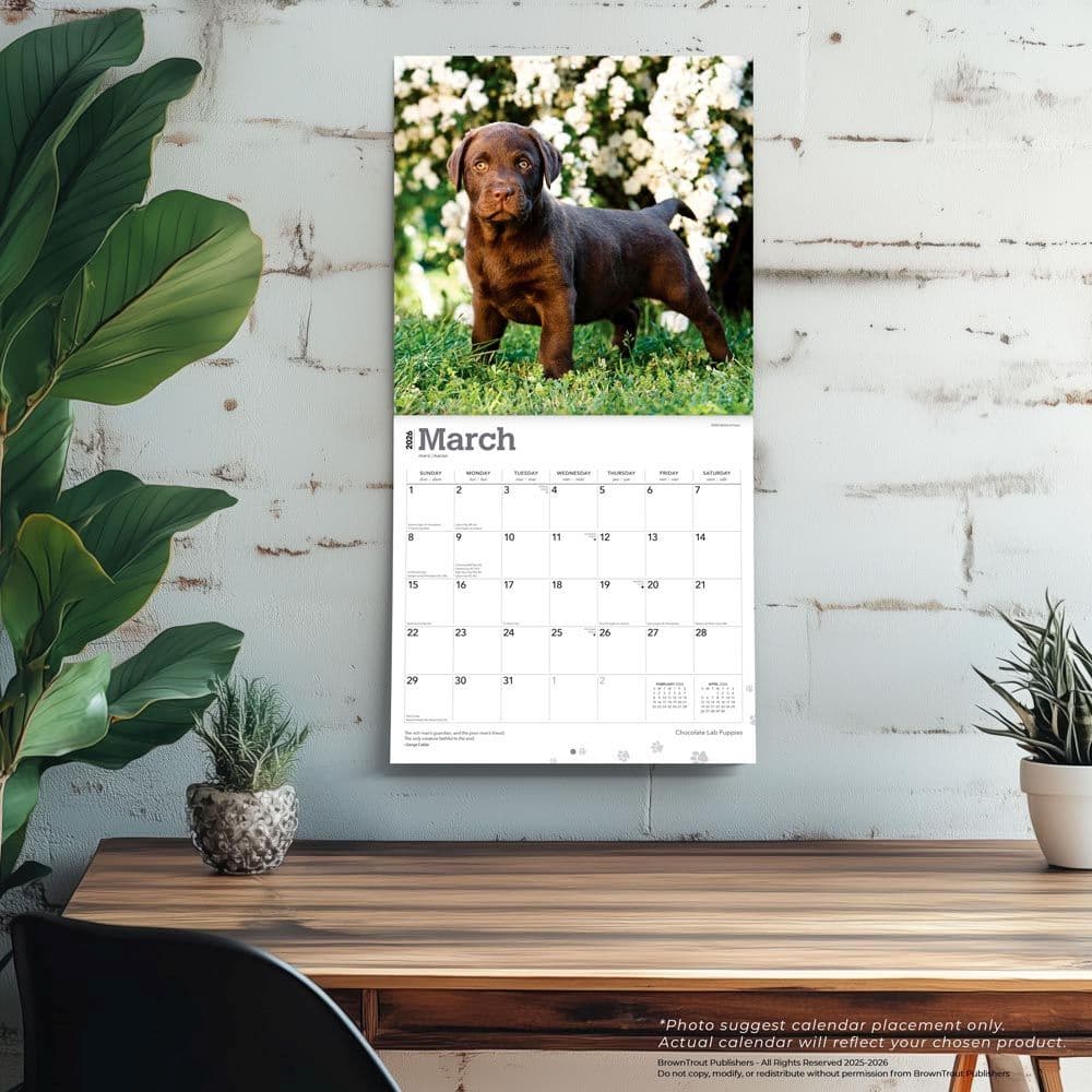  Fourth Alternate Image