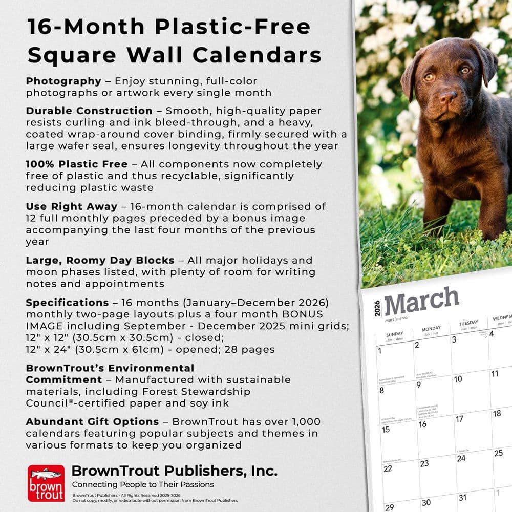  Fifth Alternate Image