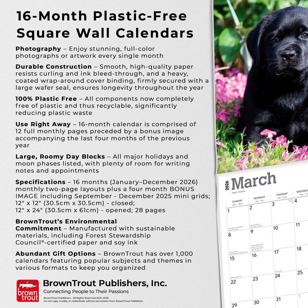  Fifth Alternate Image