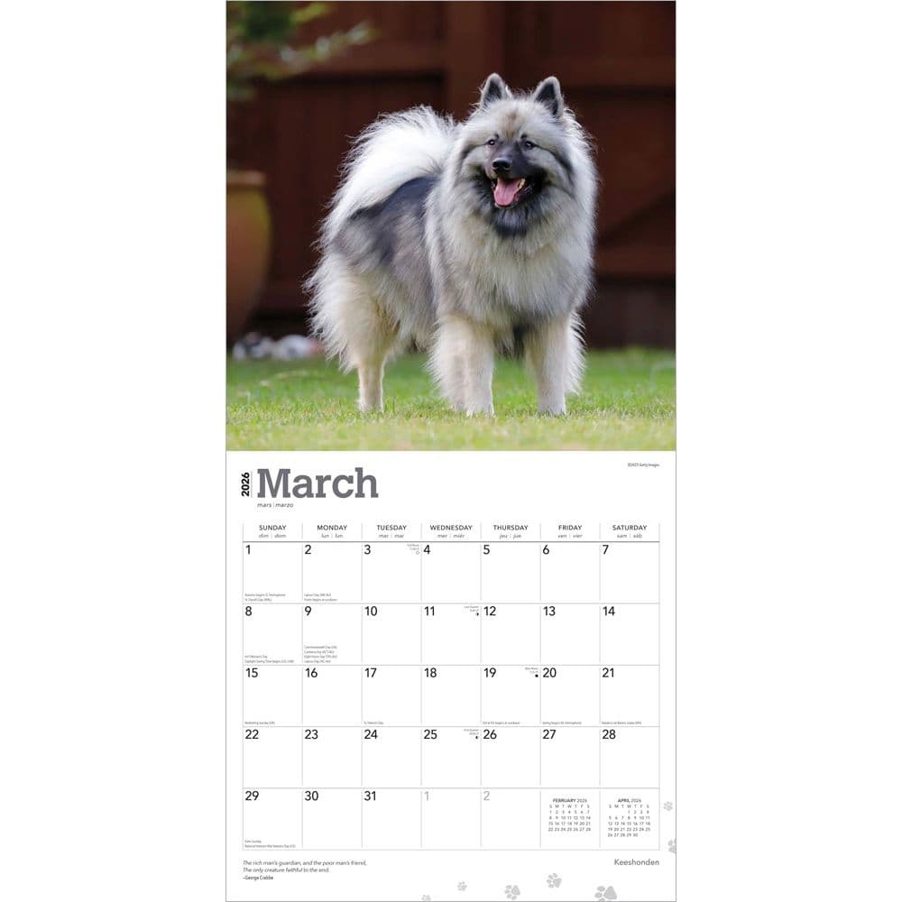  Second Alternate Image