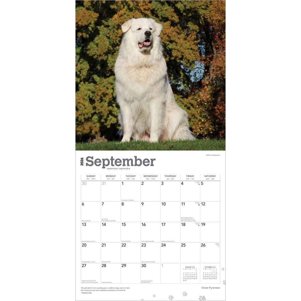 2025 2026 Great Pyrenees Calendar - Dog Breed Monthly Wall Calendar - 12 X 24 Open - Thick No-Bleed Paper - Giftable - Academic Teacher's Planner