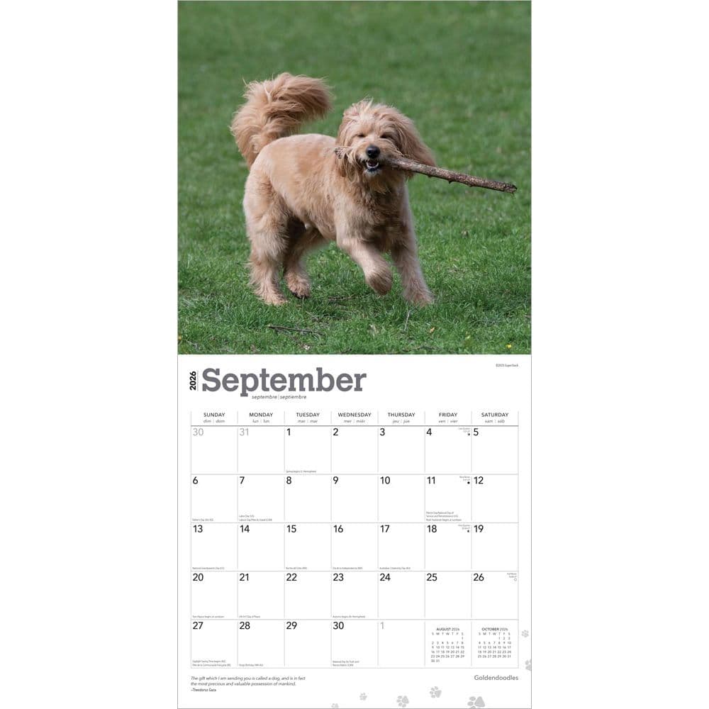  Third Alternate Image