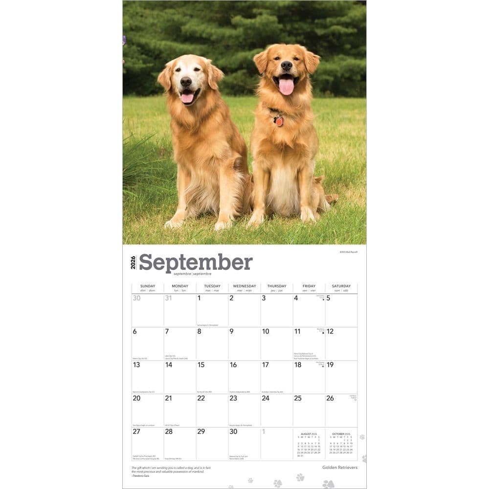 Golden Retriever - Calendars.com