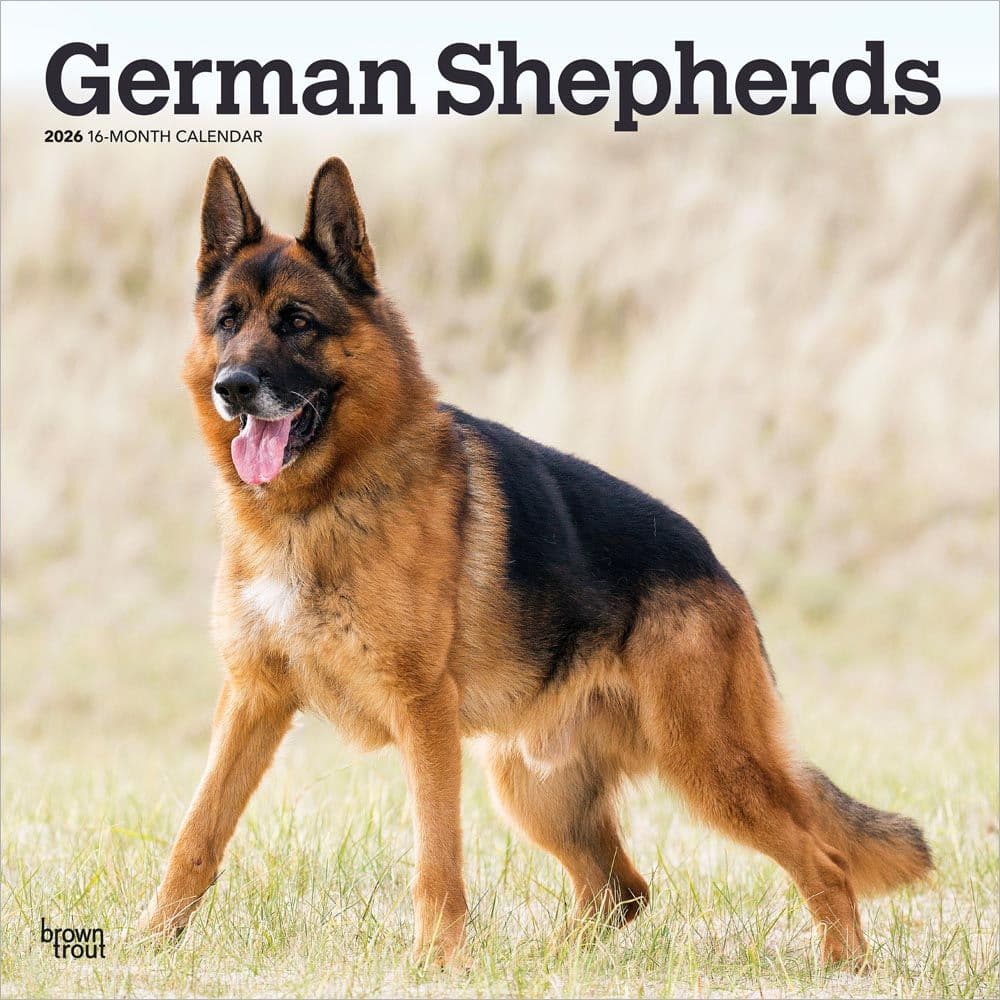 □Germanshepherd□１９７４〜◇１６×２０◇ Copen◇ I Heart My German Shepherd Mug, 16 oz. - Mugs | Hallmark