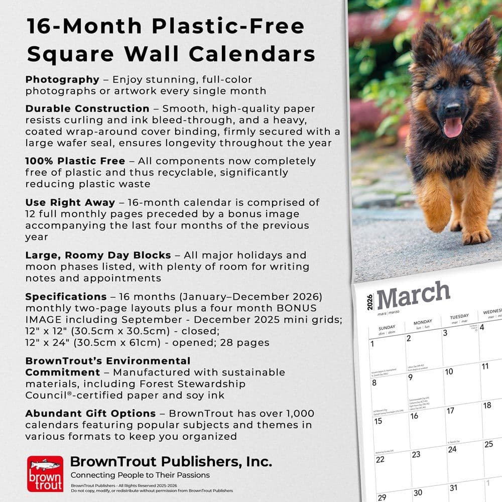  Fifth Alternate Image