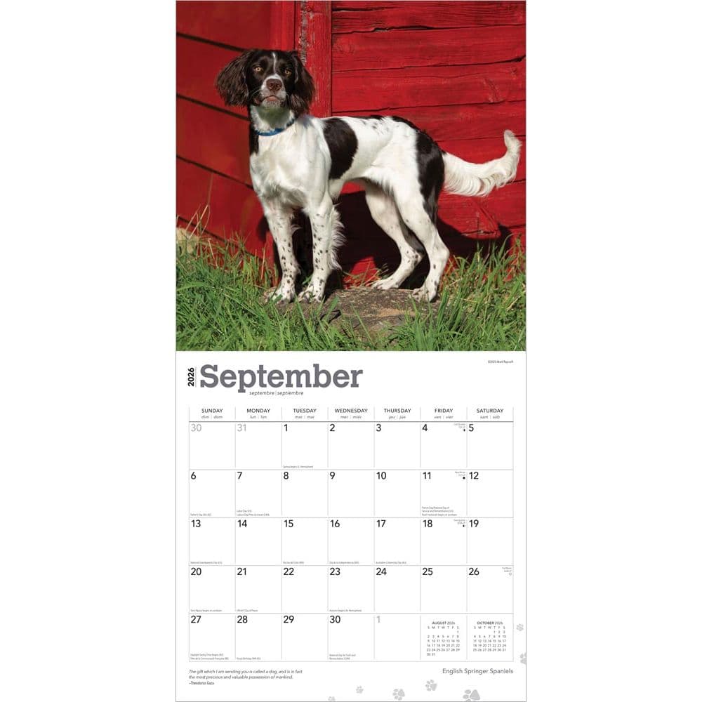  Third Alternate Image