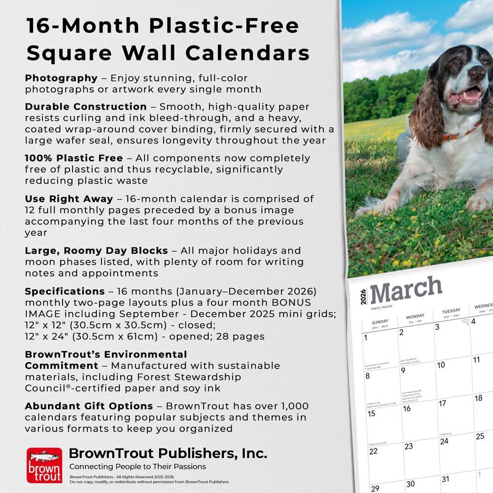  Fifth Alternate Image