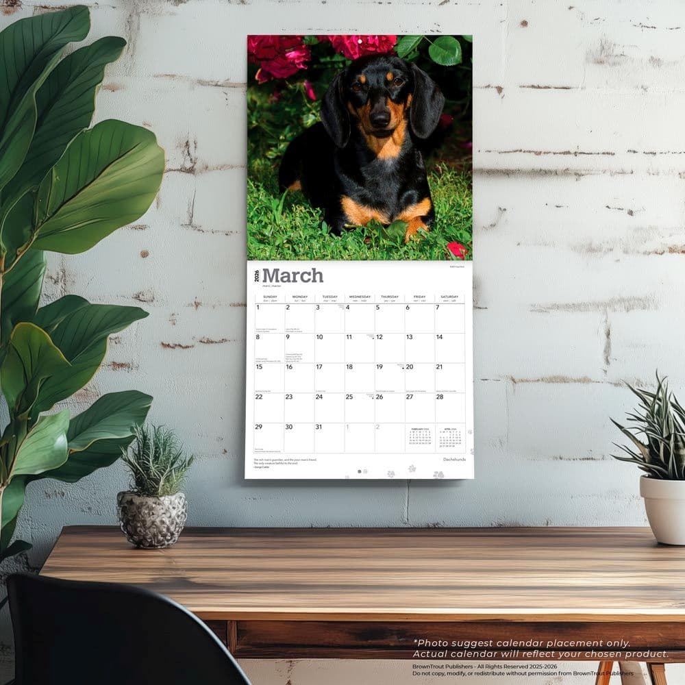  Fourth Alternate Image