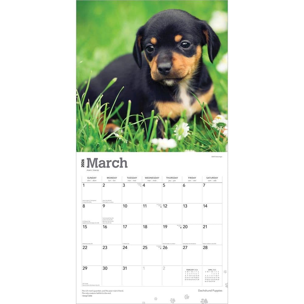  Second Alternate Image