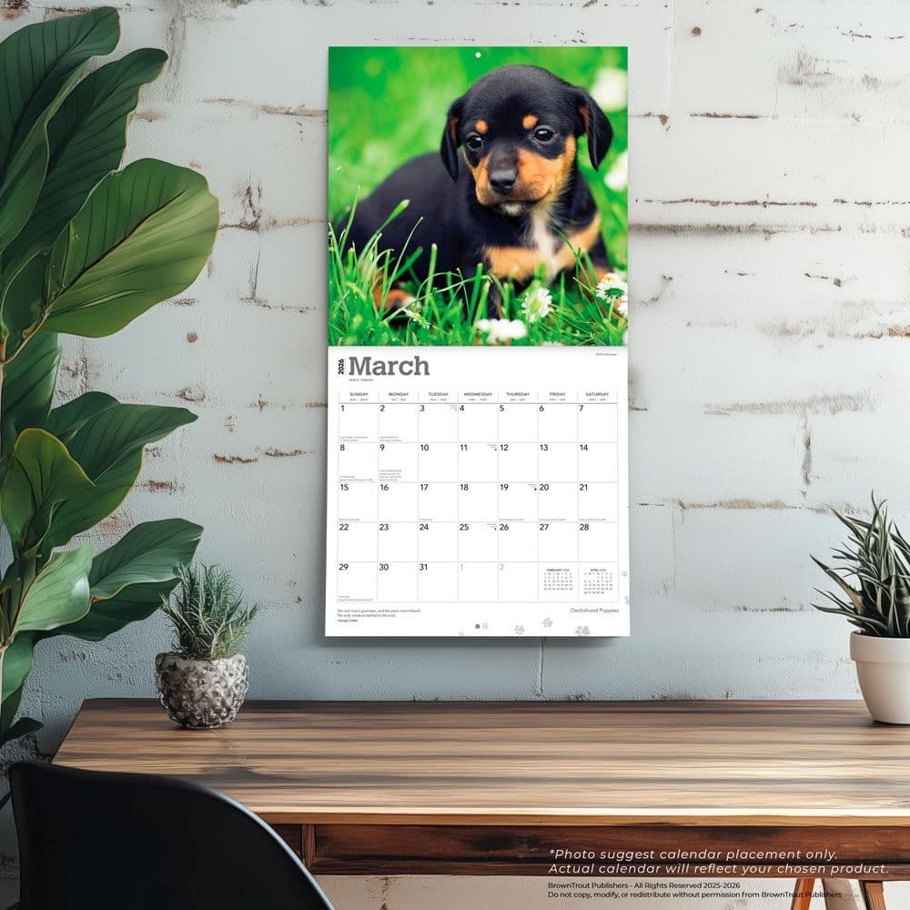  Fourth Alternate Image