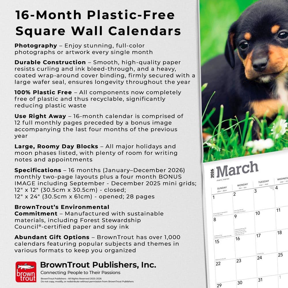  Fifth Alternate Image