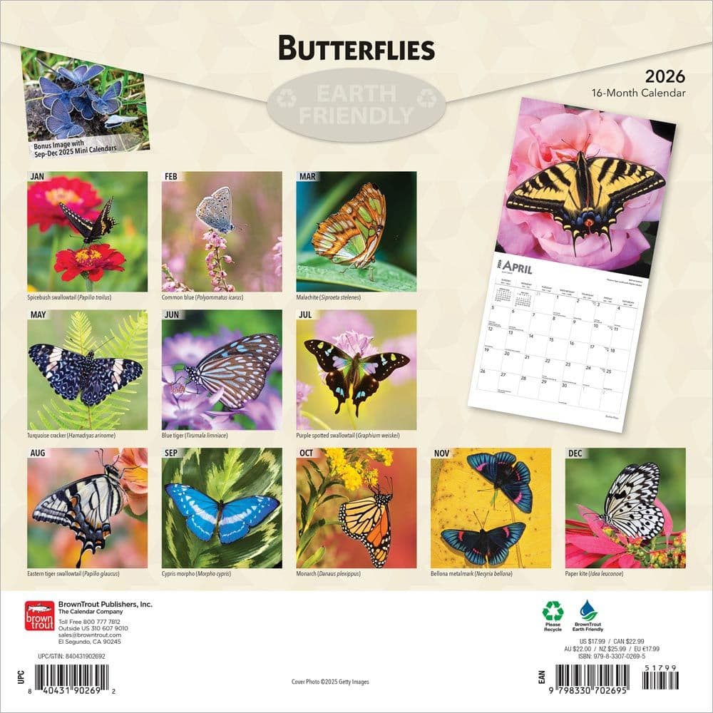 Butterflies 2026 Wall Calendar Calendars Com ALT1 