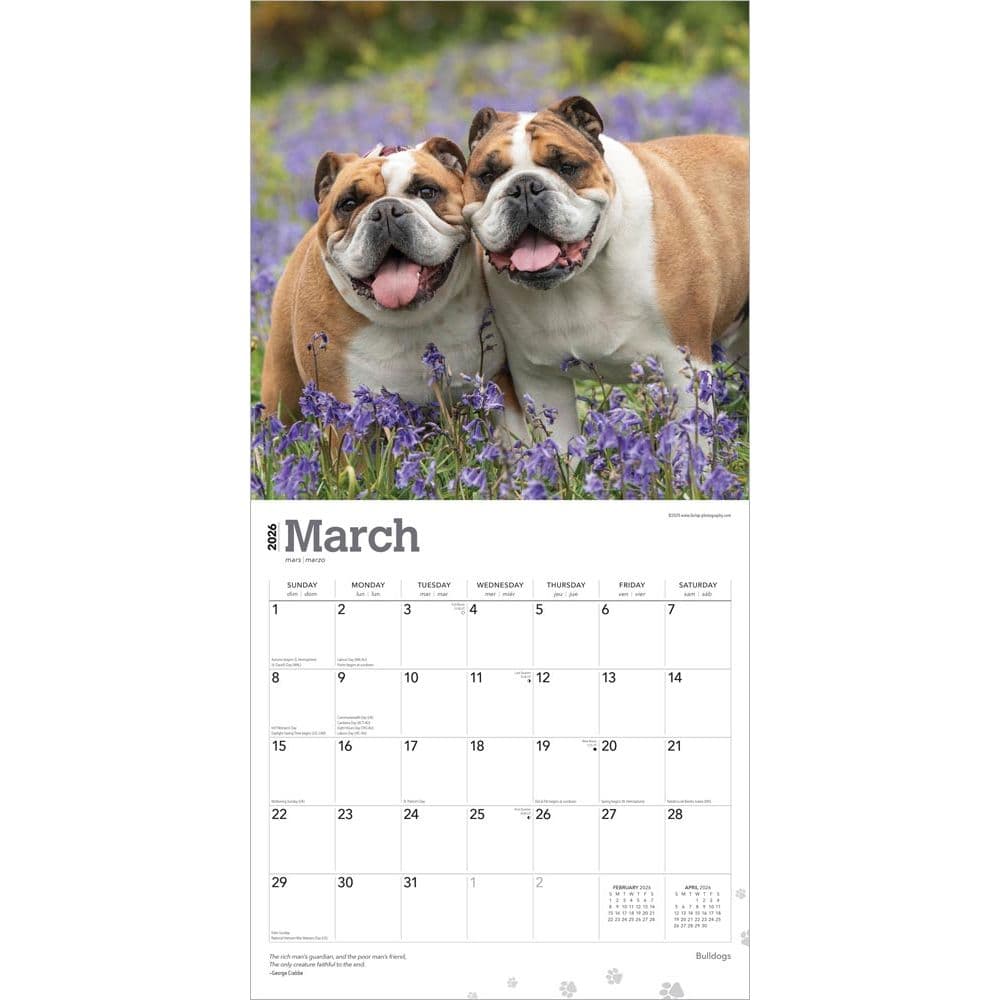  Second Alternate Image