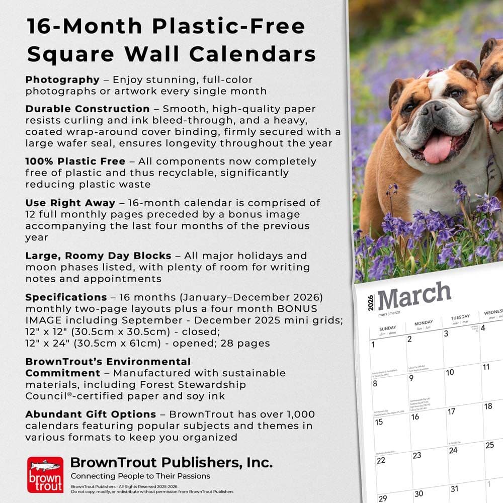  Fifth Alternate Image