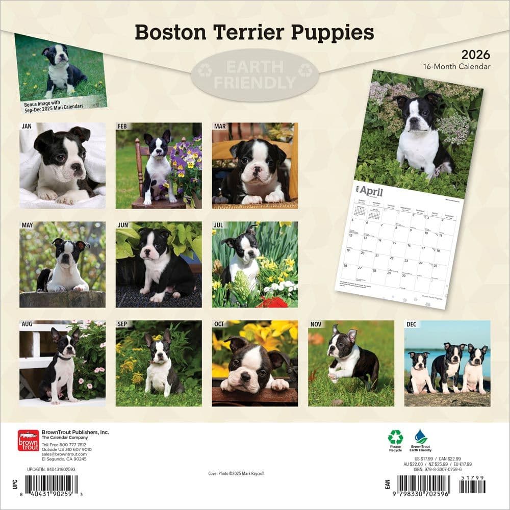Boston Terrier - Calendars.com