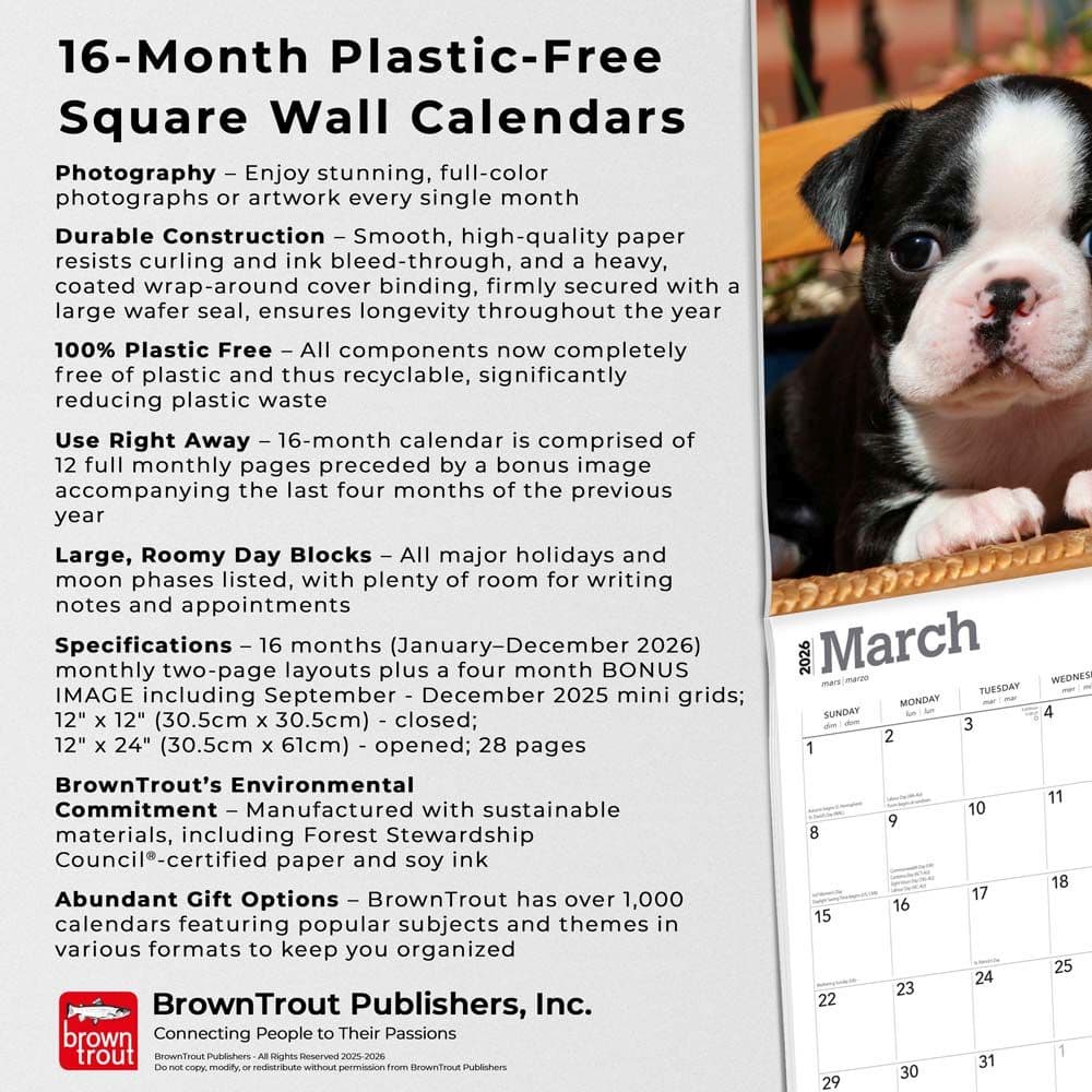 Boston Terrier - Calendars.com